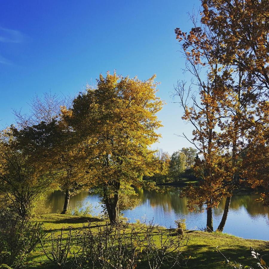Zirbenholz Tiny House "Waldhauszeit" Am See Mücke Dış mekan fotoğraf